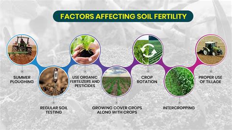 Soil Fertility Factors Affecting Nutrient Replenishment | The Best Porn ...