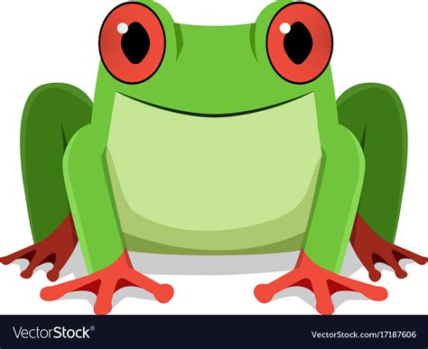 Red eye frog front view Royalty Free Vector Image