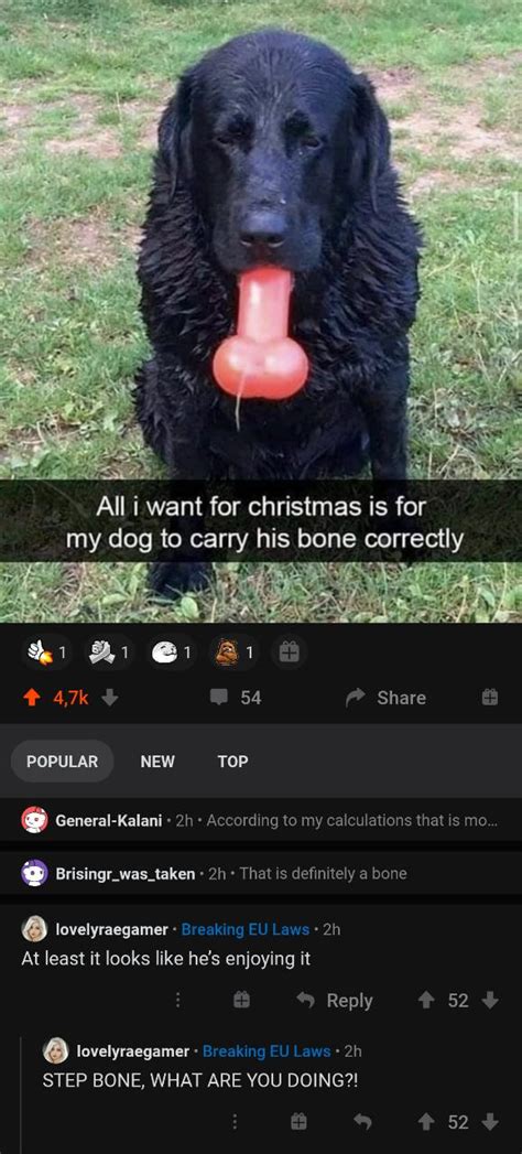 Cursed_Dog : r/cursedcomments