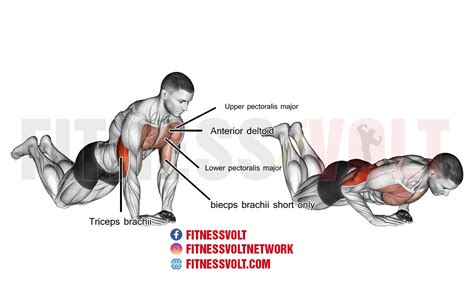 How To Do Knee Push Ups And Its Variation With Proper Form | atelier ...