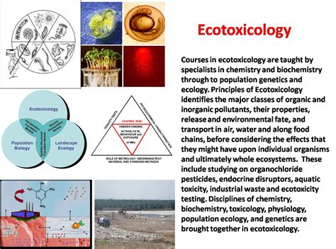 Dr Mat: Ecotoxicology