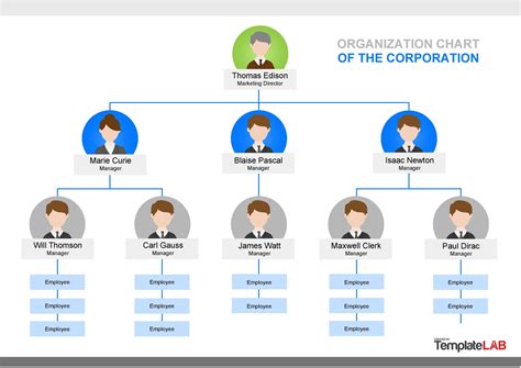 Download | Organizational chart, Organization chart, Organizational ...