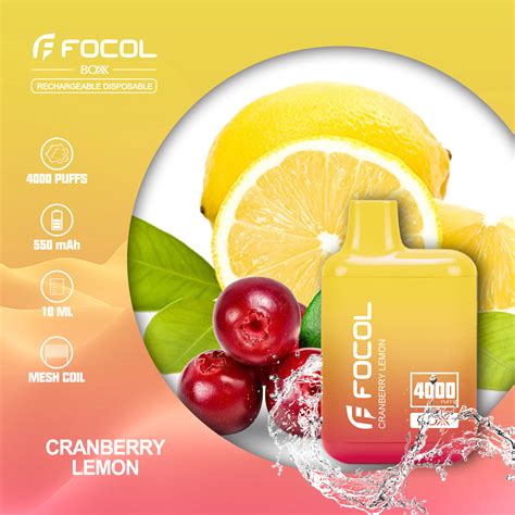 Focol 0/2/3/5% Popular Nicotine Vape Brands 4000 Puffs Vape from China ...