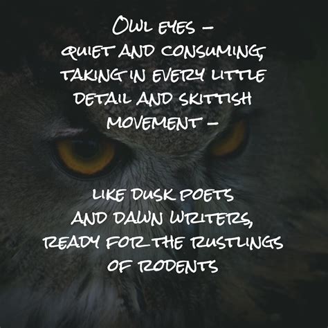 Poem: Owl Eyes – Kevin's Meandering Mind