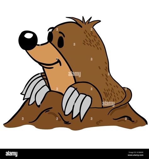 mole cartoon illustration Stock Vector Image & Art - Alamy