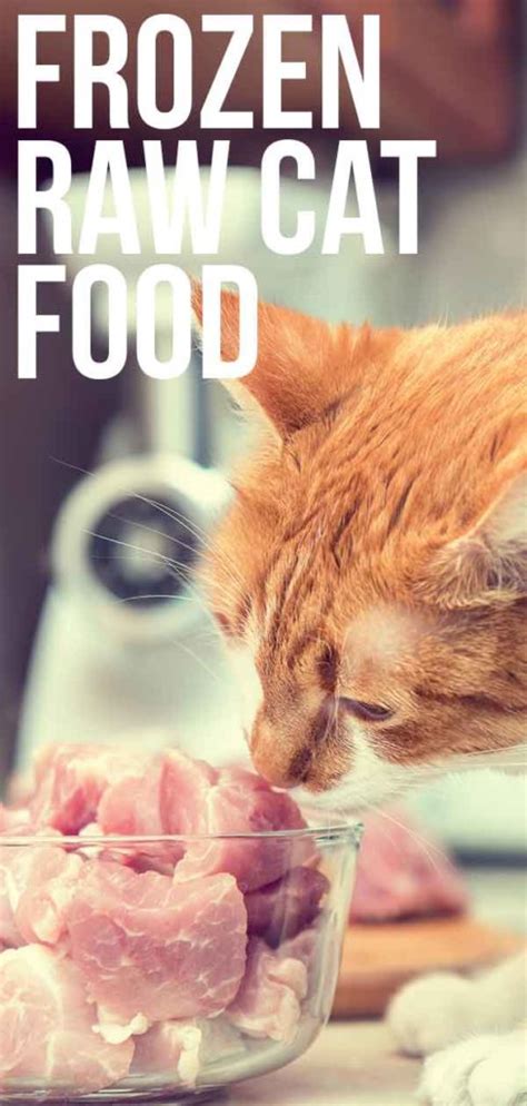 Frozen Raw Cat Food: Top Options for Cats With Taste