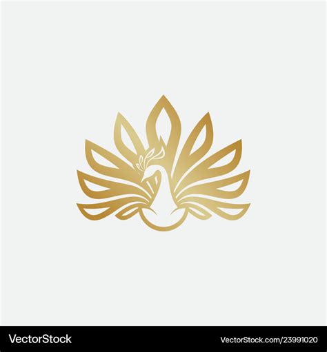 Peacock logo design Royalty Free Vector Image - VectorStock