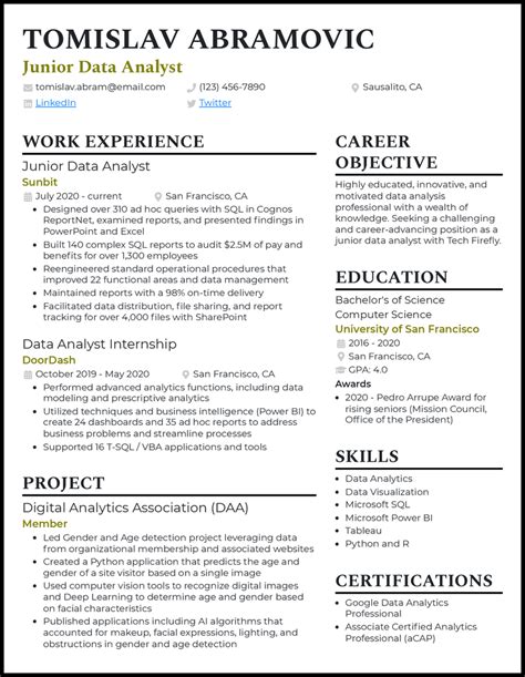 31 Data Analyst Resume Examples for 2025