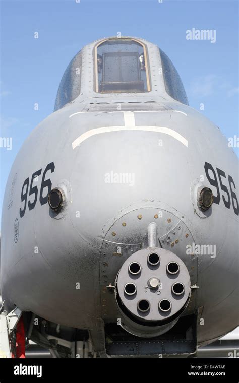 GAU-8 Avenger gun on the front of an A-10 Thunderbolt of USAFE`s 81st ...