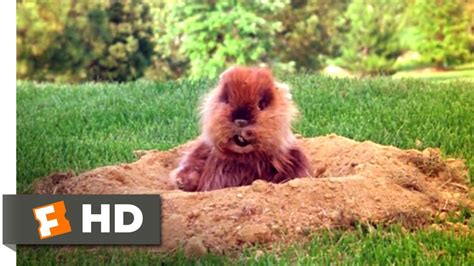 Caddyshack Gopher Meme