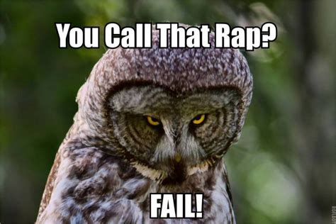 20 Hilariously Adorable Owl Memes