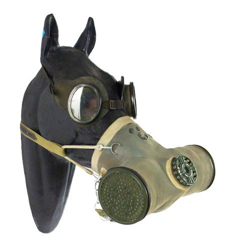 Horse gas mask - kesilservice