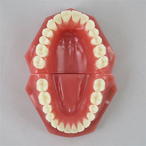 Perfect Bite Teeth Alignment Side View - TeethWalls