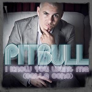 File:Pitbull i know you want me cover.jpg - Wikipedia