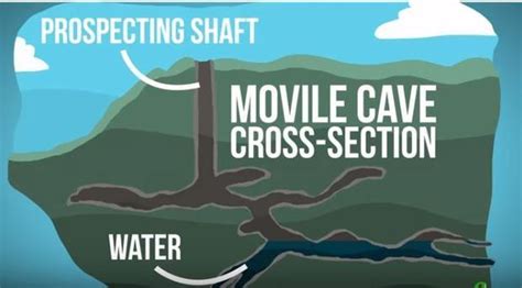 Movile cave, which is isolated from the world for 5.5 million years ...