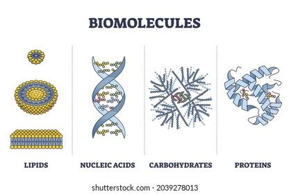 4,276 Biomolecules Royalty-Free Images, Stock Photos & Pictures ...