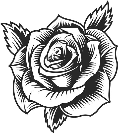 Black Rose Flower | Roses drawing, Rose drawing, Rose tattoos for men