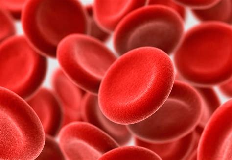 MCH Blood Test - Normal Range, Low and High MCH