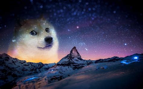 Doge Meme Wallpapers - Wallpaper Cave