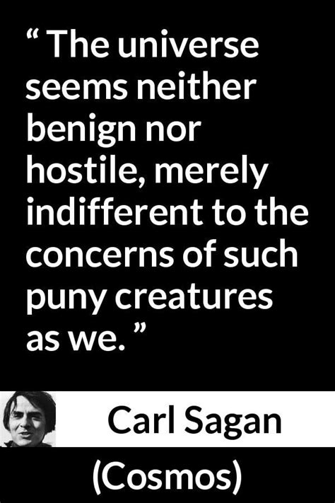 Carl Sagan quote about indifference from Cosmos | Carl sagan, Carl ...