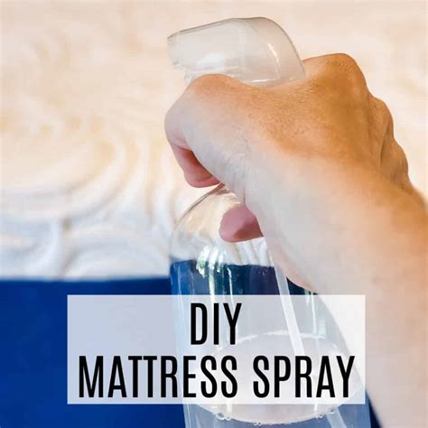 Learn How to Get Rid of Mattress Dust Mites Using DIY Spray - Frugally ...