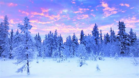 Sweden winter - Ekonomiskt och starkt ljus för hemmet