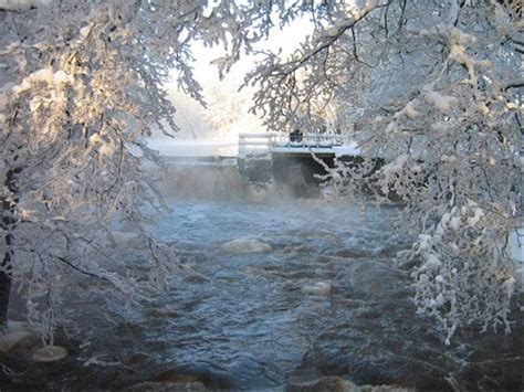 Sweden in Winter - Naturetrek