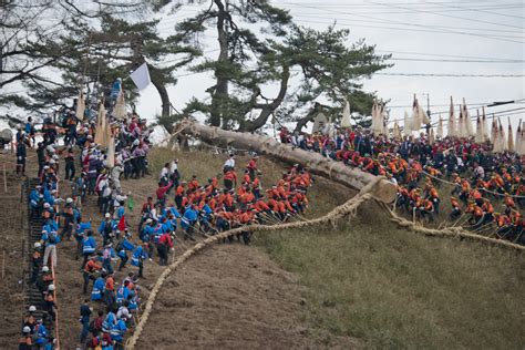 Onbashira Festival: Japan's Most Dangerous Matsuri | Tokyo Weekender