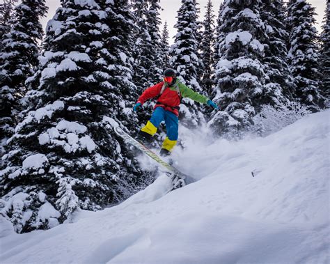 Cat Skiing with Magicbus Tours & Cariboo Snowcat | MagicBus Tours