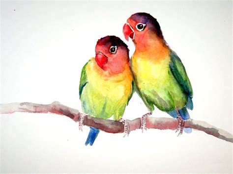 Watercolor Love Birds at PaintingValley.com | Explore collection of ...