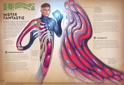 Exclusive: Marvel's new anatomy book literally dissects She-Hulk, Namor ...