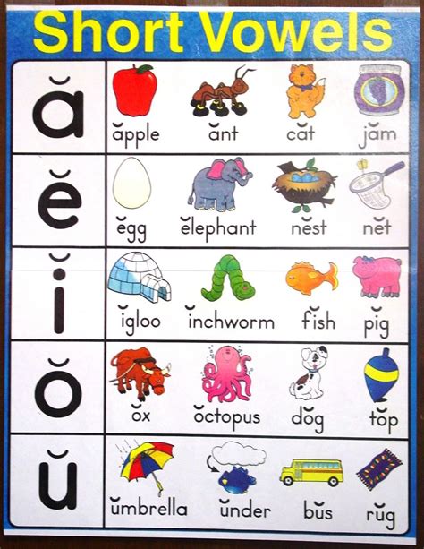 Short Vowels And Long Vowels