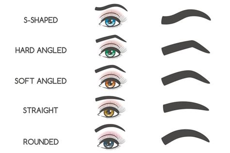 Different Types Of Eyebrows And How To Shape Them Perfectly