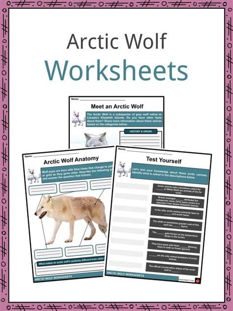 Arctic Wolf Habitat For Kids