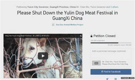 Dog meat festival: China ignores cancellation calls and adds cats to ...