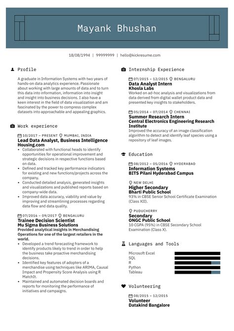 Lead Data Analyst Resume Example | Kickresume