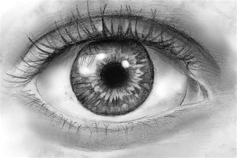 how to draw: How to Draw an Eye in Pencil