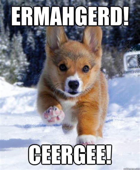 Victory corgi is proud of you - victory corgi - quickmeme