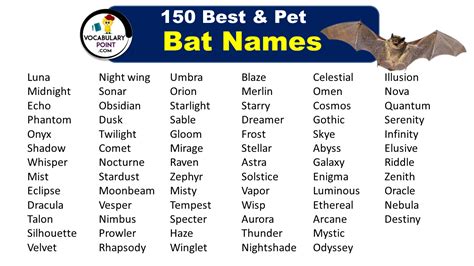 150 Bat Names (Pet, Cute & funny) - Vocabulary Point