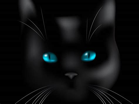 Black Cat Eyes Wallpaper - WallpaperSafari