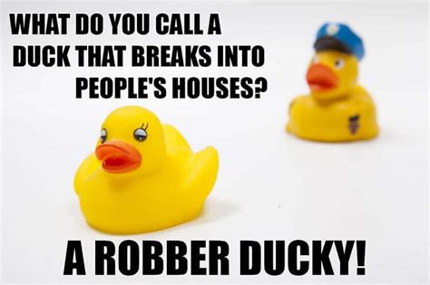 Duck Puns: 75 Nest Level Jokes to Quack You Up | My Pet's Name