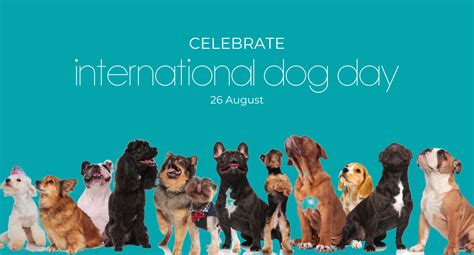 Celebrate International Dog Day | Pet Angel Funerals