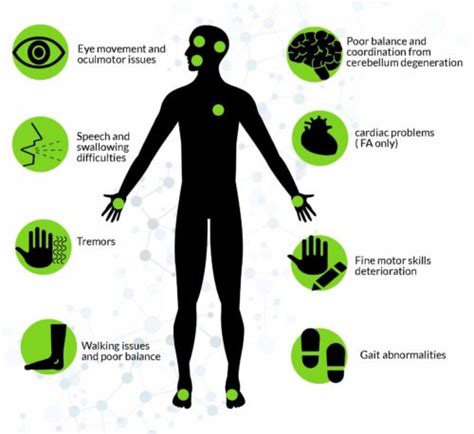 Symptomes of ataxia | Ataxia Canada