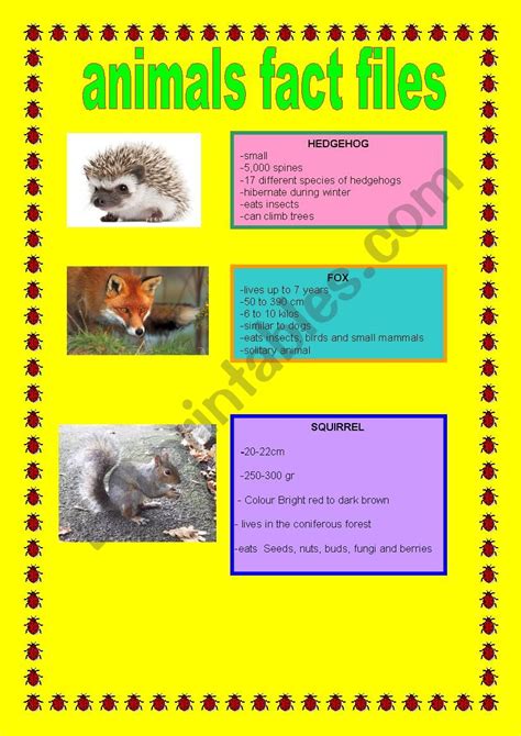 ANIMALS FACT FILES - ESL worksheet by denisegerbaix