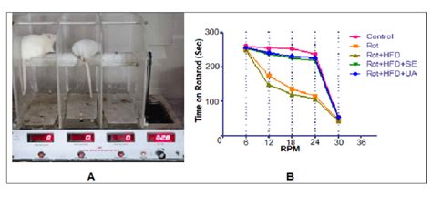 Performance on rotarod after PD Induction. (A) Photograph of Rotarod ...