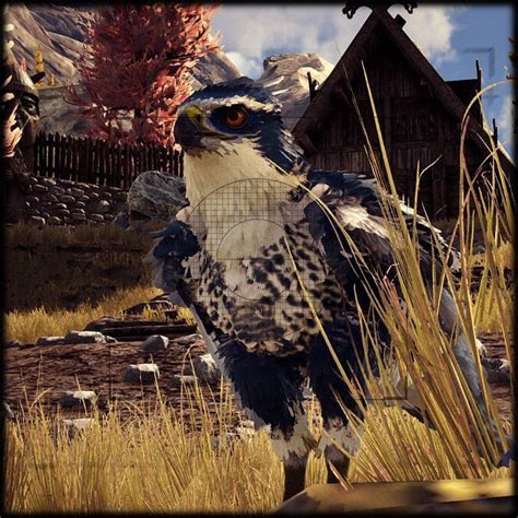 How to find the Fjordhawk in ARK: Survival Evolved Fjordur