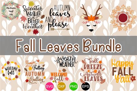 Fall Leaves Bundle SVG, Dxf, Eps,Png 10 designs (332385) | Cut Files ...