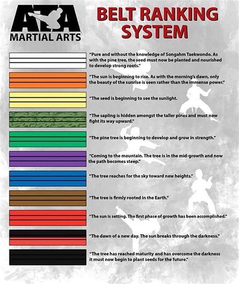 Climbing the Ladder: Understanding Premier Martial Arts Belt Ranks ...