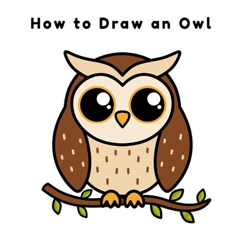 Cute Easy Owl Drawings