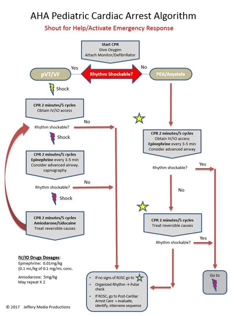 Pulseless ventricular tachycardia | ACLS-Algorithms.com | Acls ...